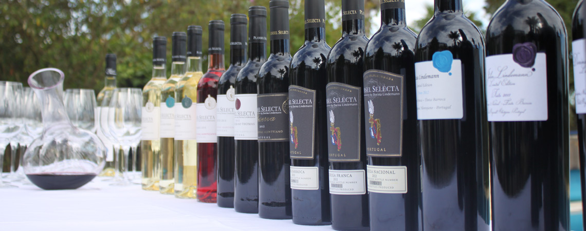 Vinhos Plansel